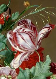 Bildergebnis für Ruth Nemet