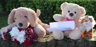 Katherine Rider (@RiderRider75)