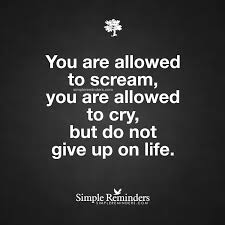 You Re Allowed To Scream You Re Allowed To Cry Do Not Give Up On Life By Unknown Author