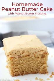 Piece Of Peanut Butter Cake Homemade Cake Recipes Peanut Butter Recipes Peanut Butter Cake