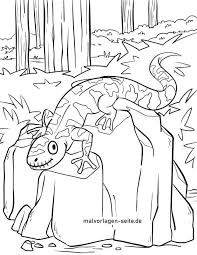 Malvorlage Feuersalamander Kostenlose Ausmalbilder