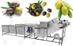 Pin On Fruit Vegetable Washing Machine