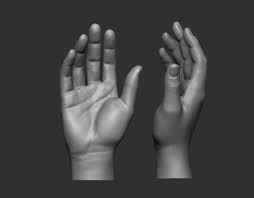 Female Hand Pose 1 3d Print Model Hand Pose Anatomy Reference Human Sculpture For this scan, we asked our model to keep their entire palm and all their fingers tense, which made it easier to keep still. female hand pose 1 3d print model