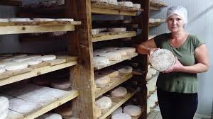 Ces fromages méconnus, trésors insoupçonnés de l'Auvergne