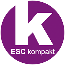 Am ende vergeben die zuschauer punkte und küren den ersten sieger des. Live Blog Freeesc Free European Song Contest 2021 Esc Kompakt