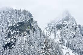 11 Perfect Sledding Spots Near Flagstaff Arizona Outdoor Troop All of coupon codes are verified and tested today! 11 perfect sledding spots near
