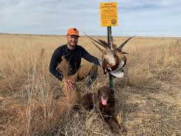 A vacant pond lot near the village with direct water access; Pheasant Hunting How To Get Started Gearjunkie
