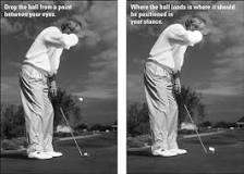 Image result for how much knee bend in golf stance