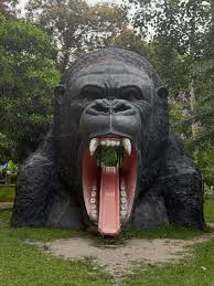 Gorillas in the Mist was a deeply moving film made in 1988 - appropriate to  recall as we approach #WorldEnvironmentDay. It brought to life the plate of  the mountain 🦍 of Rwanda