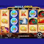 wolf gold slot from bingo.paddypower.com