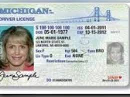 Michigan Motorists Would Be Able To Renew Their Driver 39 S License Every Eight Years Rather Than Four Under Legislation Intr Drivers License Renew Michigan