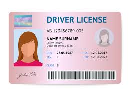 Free id for homeless individuals. Driver License Stock Illustrations 3 005 Driver License Stock Illustrations Vectors Clipart Dreamstime
