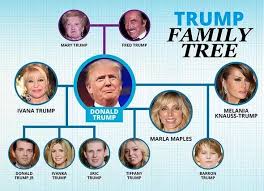 What Is Trumps Family Tree Quora