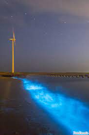Voor alleenstaanden is dat bedrag 1200 euro per jaar. Robertdevries Net On Twitter Netherlands Beautiful Photo S North Sea