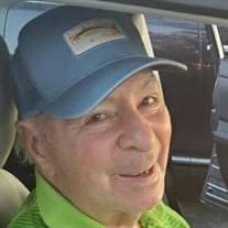 Bernard G. Levenson Obituary (2021)