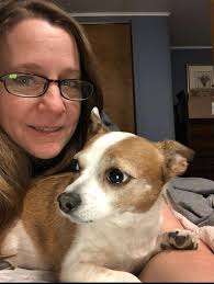 Veterinarians in Three Rivers, Michigan