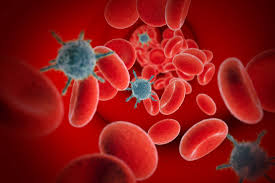To be a virus, a program only needs to have a reproduction routine that enables it to infect other programs. Viremia Definition Causes And Symptoms