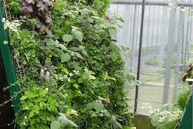 We did not find results for: Growing A Vertical Vegetable Garden All You Have To Know