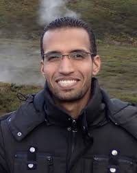 Palynological study of Allium L. (Amaryllidaceae) in the flora of Egypt:  Palynology: Vol 46, No 3