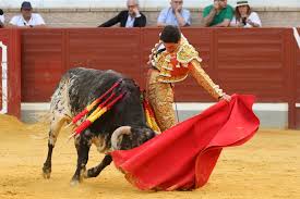 Villaseca define a los finalistas "de Plata" | Noticias La Tribuna de  Talavera