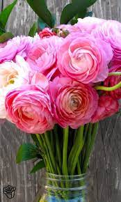 Fresh Easy Beautiful The Bouqs Flowers Beautiful Flowers Pretty Flowers