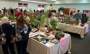 1307 e citrus ave, redlands (ca), 92374, united states. Here S Where You Can See Thousands Of Cacti And Succulent Plants In Redlands Redlands Daily Facts