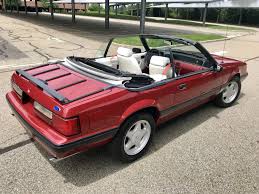 Image result for Wild Strawberry 1991 Tempo