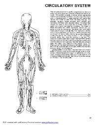 A yoga anatomy coloring exploration. Free Dental Anatomy Coloring Pages