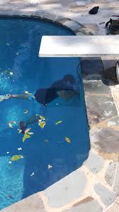 Led Pool Light Installation Hire An Electrician It S Not A Diy Project