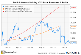 smith wesson holding corps worst business segment in 2016