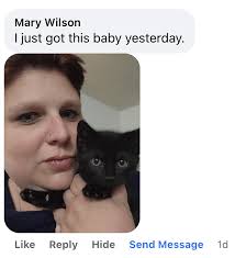 Black Cat Loving ICanHasCheezburger Community Members Show Off Pictures Of  Their Fabulous Voids Enjoying Existence