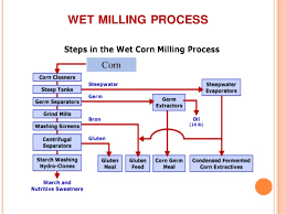 Free Info 58 Wheat Flour Milling Process Download Pdf Doc Zip