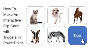 Create card front and back image elements How To Make An Interactive Flip Card With Triggers In Powerpoint Youtube