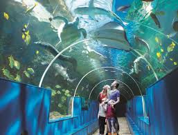 Visit Bournemouth Aquarium in UK | Bournemouth Oceanarium
