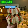 SEED CAFE from www.instagram.com