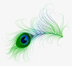 Maybe you would like to learn more about one of these? Peacock Feather Krishna Png Images Transparent Peacock Feather Krishna Image Download Pngitem