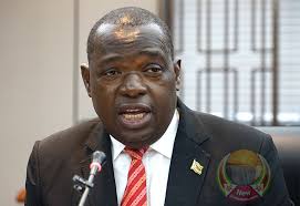 SB Moyo lays into Brian Nichols, labels US envoy 'opposition citadel'