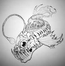 Drawing sketch style illustration of a skeletal system or skeleton of king salmon or trout viewed from side on isolated white background. Angler Fish Sketchbook Drawing Fish Drawings Angler Fish Drawing Art Drawings