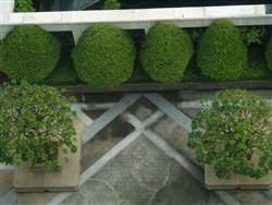 What was the most difficult thing about changing? Garden Design Certificate Landscaping Jobs Online Training