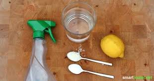 Natron Allzweckreiniger Im Handumdrehen Selbst Herstellen Allzweckreiniger Naturliche Reinigung Haushaltstipps