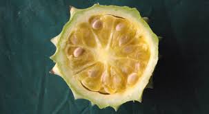 Image result for Acanthosicyos naudinianus