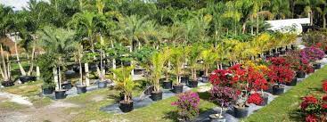 Helping you grow better, naturally. A One Stop Garden Shop Offering Plants Trees Sod Cactus Succulents Mulch Rock And More