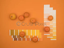 Find a great color palette from color hunt's curated collections. Tangerines And Orange Color Palette Orange Background Stock Photo Crushpixel