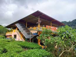 Anda berpeluang untuk menghirup teh yang segar dah udara yang segar di. Tempat Menarik Di Cameron Highland Mesti Dilawati Percutian Bajet