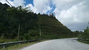 ‍ make this your status and answer honestly if you can. Tempat Viral Di Cameron Highlands Tutup 13 2 2021 Avant Chocolate Youtube