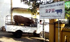 Kejadian itu terjadi di denpasar bali, tahun 1998, aku waktu itu kelas 3 smu di salah satu smu di denpasar. Pks Pks Jepara Selenggarakan Kurban Di Rumah Potong Hewan