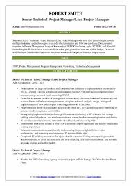 Get inspiration for your resume, use one of our professional templates, and score the job you want. Senior Technical Project Manager Resume Samples Qwikresume