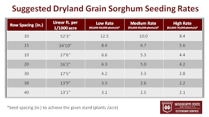 Grain Sorghum Planting And Seeding Recommendations