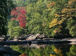 Find the best campgrounds & rv parks near weston, west virginia. City Of Buckhannon Audra State Park Campground