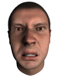 How your face communicates complex emotional messages